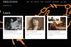 The Freud Museum London website | graphic design | © The Freud Museum London