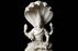 Statuette of Vishnu from Sigmund Freud's collection | collection photography |© Freud Museum London